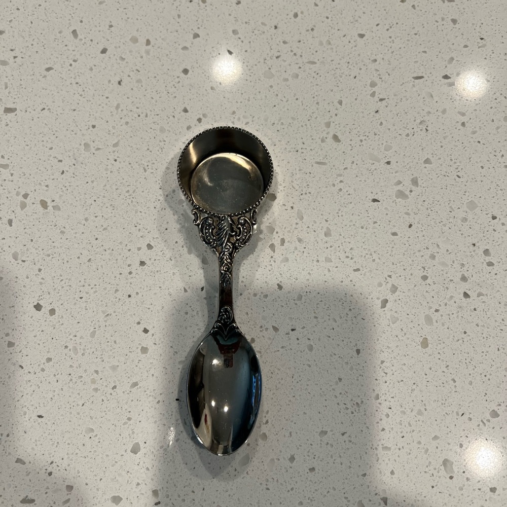 Elegant Silver Spoon